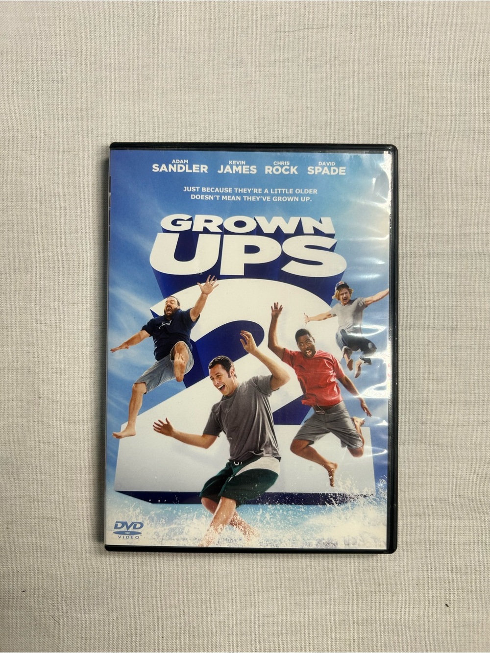Grown Ups 2 DVD – Blue Cover